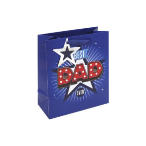 Father's Day Gift Bag Medium Best Dad Ever from Harrisons Direct