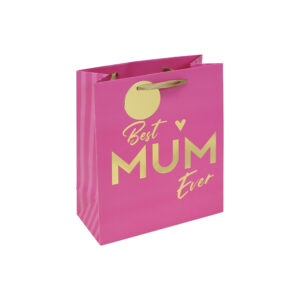 Mother's Day Gift Bag Medium Best Mum Ever from Harrisons Direct