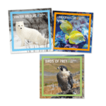 2025 Calendar Square Winter Wildlife, Birds of Prey, Underwater World from Harrisons Direct