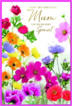 Mother's Day Card Mum - Bright Flowers from Harrisons Direct