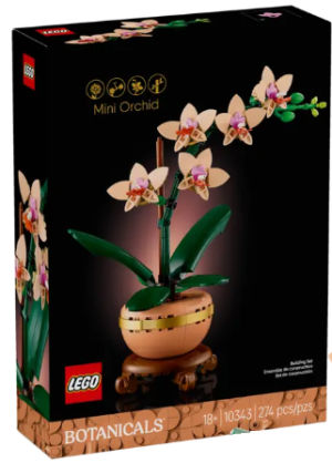 LEGO Botanicals 10343 Mini Orchid from Harrisons Direct