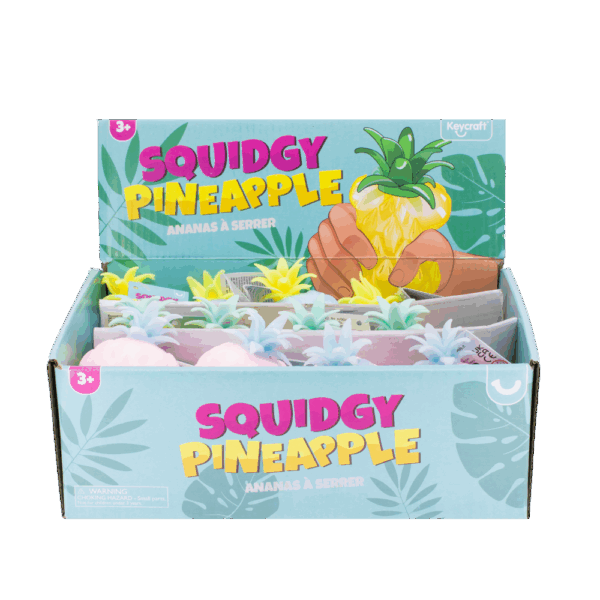 Squeezy Pineapple CDU from Harrisons Direct