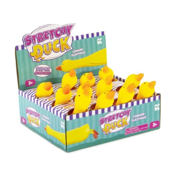 Stretchy Rubber Duck CDU from Harrisons Direct